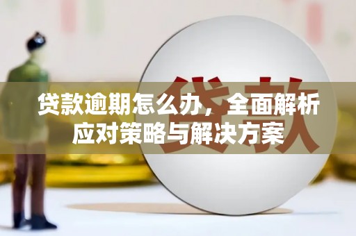 张北贷款逾期怎么办，全面解析应对策略与解决方案