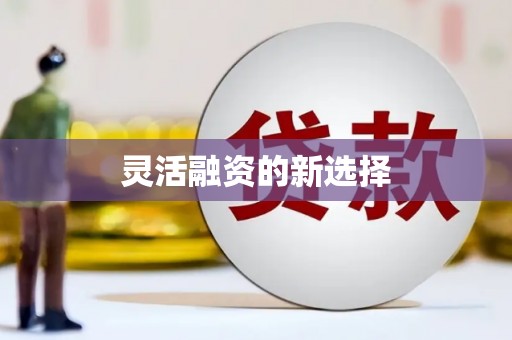 张北灵活融资的新选择