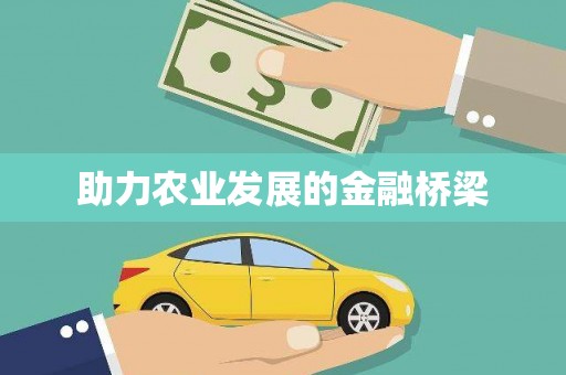 张北助力农业发展的金融桥梁