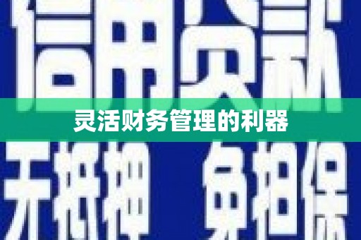 张北灵活财务管理的利器