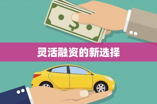 张北灵活融资的新选择