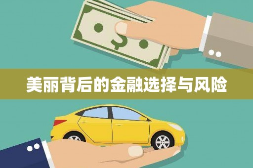 张北美丽背后的金融选择与风险