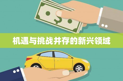 张北机遇与挑战并存的新兴领域