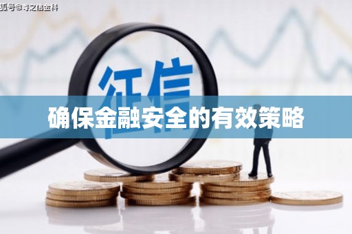张北确保金融安全的有效策略