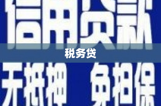 张北税务贷