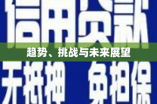 张北趋势、挑战与未来展望