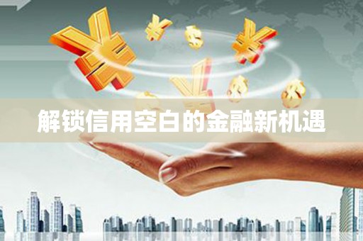 张北解锁信用空白的金融新机遇