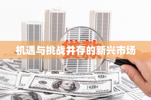 张北机遇与挑战并存的新兴市场