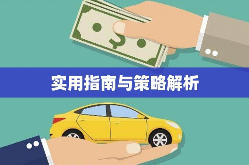 张北实用指南与策略解析