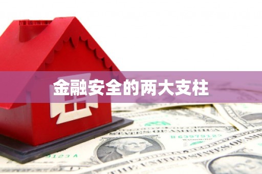 张北金融安全的两大支柱
