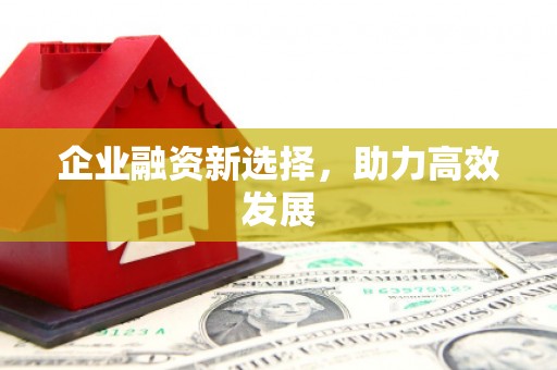 张北企业融资新选择，助力高效发展