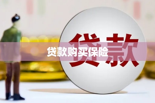 张北贷款购买保险