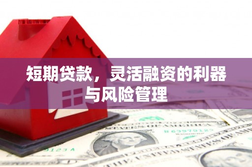 张北短期贷款，灵活融资的利器与风险管理