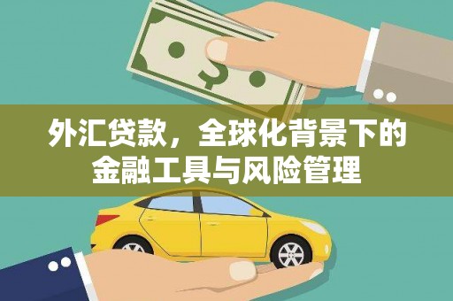 张北外汇贷款，全球化背景下的金融工具与风险管理