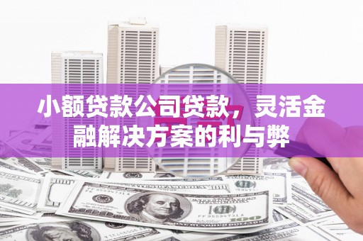 张北小额贷款公司贷款，灵活金融解决方案的利与弊