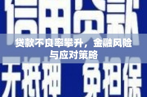 张北贷款不良率攀升，金融风险与应对策略